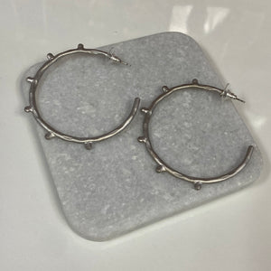 Sunny big Silver Earrings